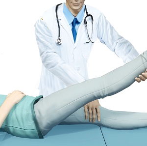 Physical Examination of the Hip